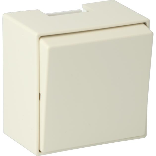WS25 Two-way switch cream (RAL 1013)