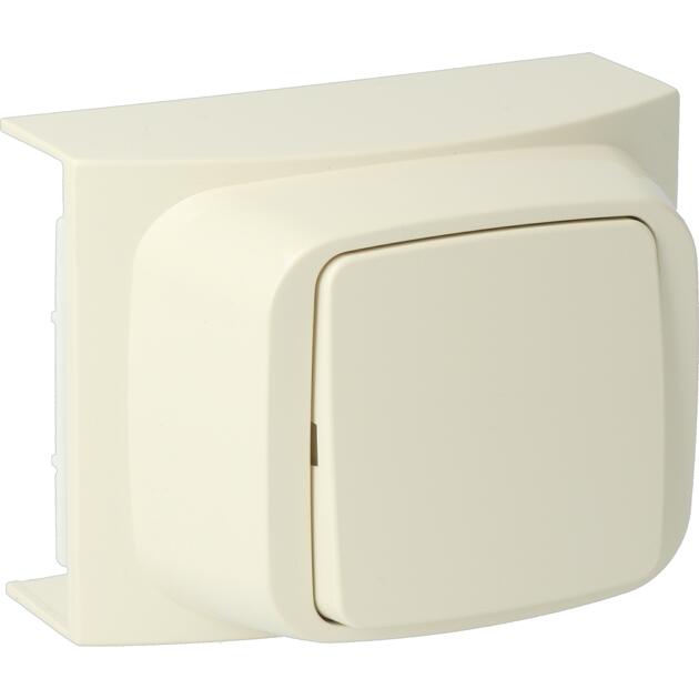 EW40 Two-way switch cream (RAL 1013)